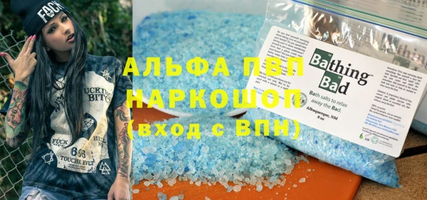 стаф Богданович