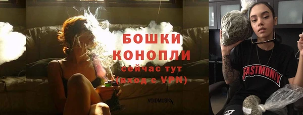 амф Богородицк