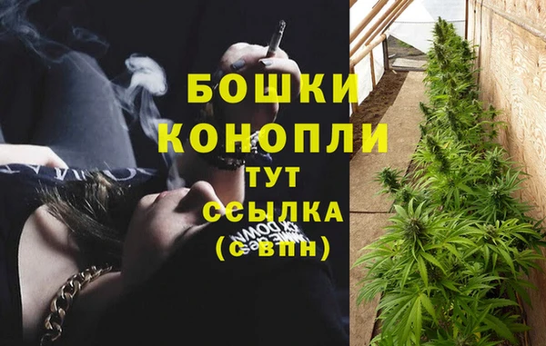 Альфа ПВП Богородск