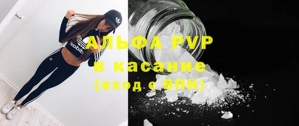 амф Богородицк
