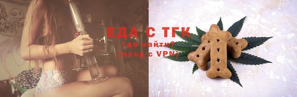 стаф Богданович