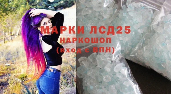 стаф Богданович