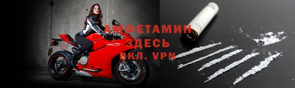 стаф Богданович