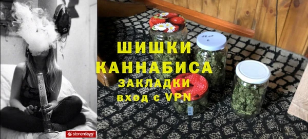 стаф Богданович