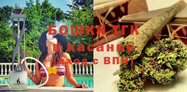 стаф Богданович