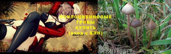 Альфа ПВП Богородск