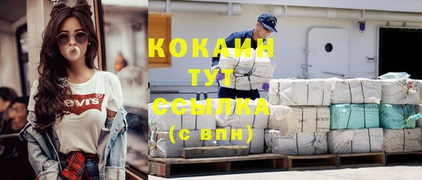 стаф Богданович